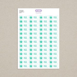 52 Etiquetas termoadhesivas Ropa Estrella menta